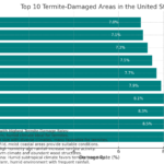Termite Damage Infographic