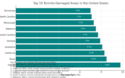 Termite Damage Infographic