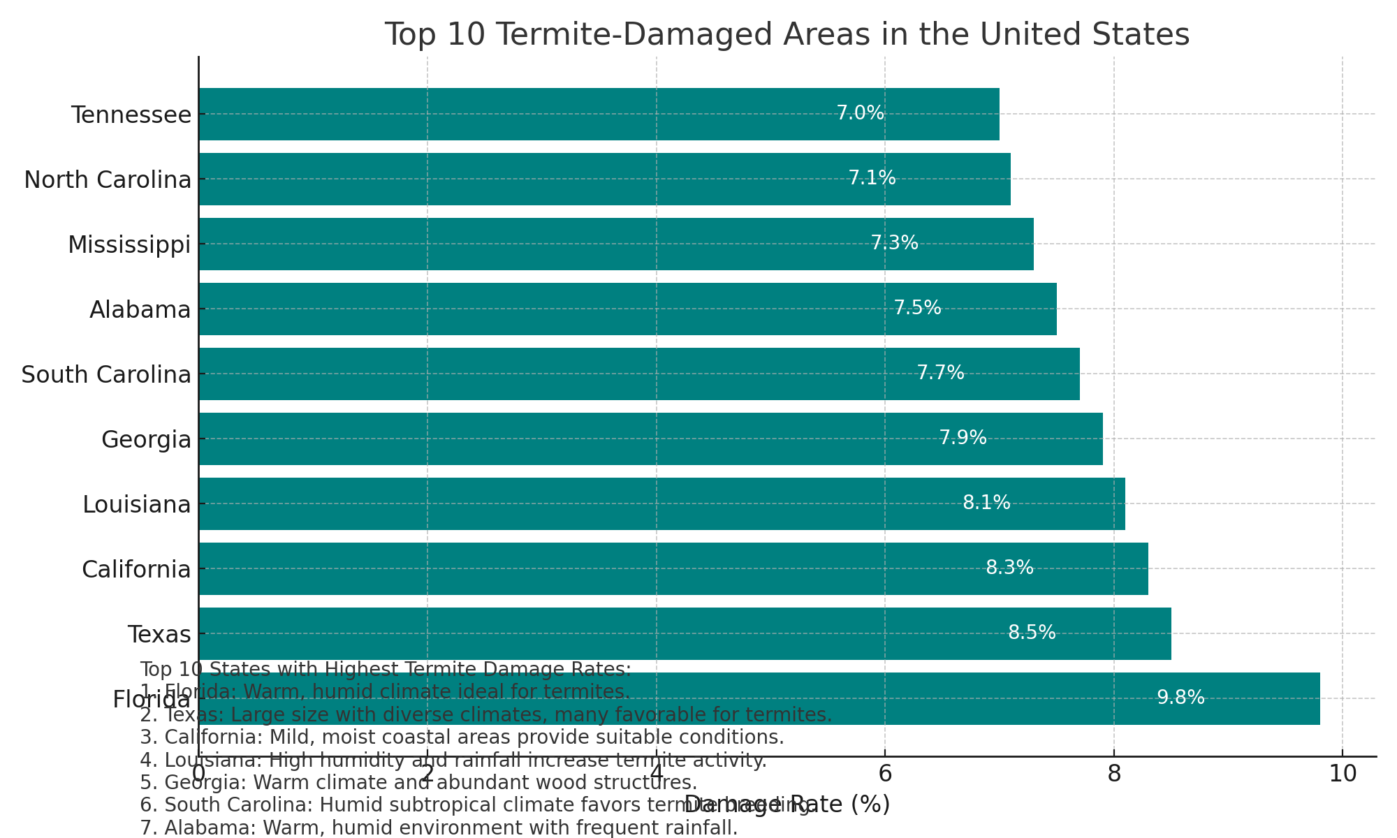 Termite Damage Infographic